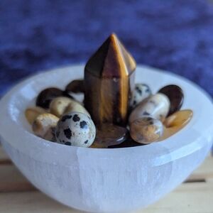 🐯✨Big Cat Energy Bowl ⭐ Golden Tiger's Eye Spotted Jasper Moon & Heart Jewels